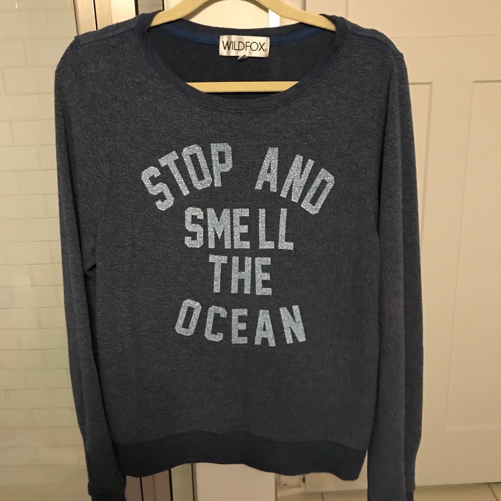 Wildfox sweatshirt